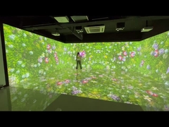 Wall Projection and Floor Projection for Museum