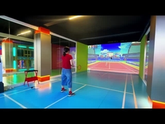 Northern Lights Professional Indoor AR Sports Badminton Indoor Ball Games