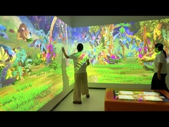 Scanner Version 3D AR Indoor Multi Scene Interactive Painting Wall Projection