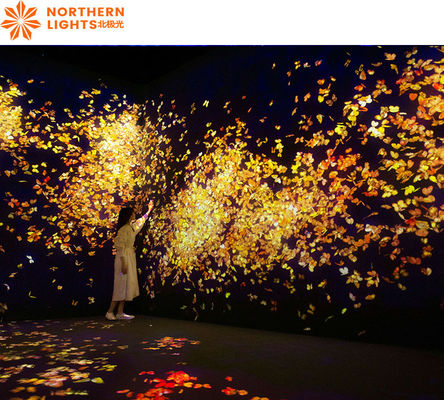 Good price Digital Art Projection Mapping Museum/Exhibition Immersive 360 Wall Projection online