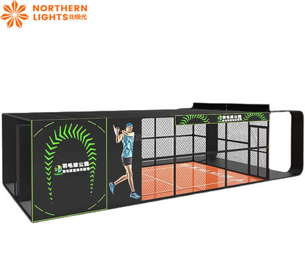 Good price Northern Lights Professional Indoor AR Sports Badminton Indoor Ball Games online