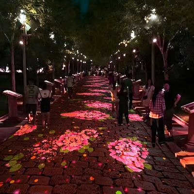 Good price Outdoor Interactive Projection Experience Ground Projection Immersive Projection online