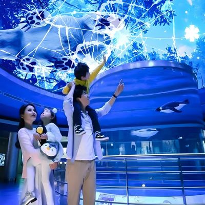 Good price Customizable Magic Sky Screen Hologram Canopy Projection Interactive Projector online