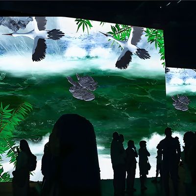 Good price Northern Lights Newest Advertising Interactive Wall 3d Hologram Projection online