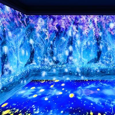 Good price 3d Immersive Projector Immersive Experience Ground Wall Projection For Museum online