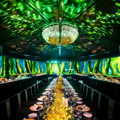 Good price Unique 3d Immersive Dining Experience Restaurant Wall Interactive Projection online