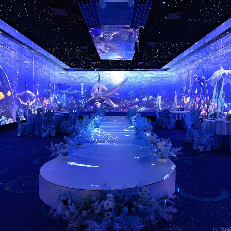 Multi Projection 3D Interactive Immersive Projector Holographic Projection