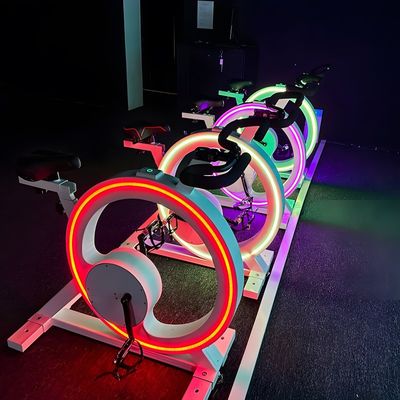 Good price Northern Lights Racing Bike Simulator Game Machine Racing Projection online