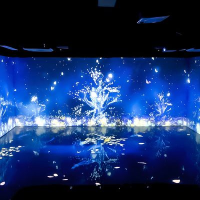 Good price Room Decorations Digital Art Museum Exhibition 3d Immersive Mapping Projector online