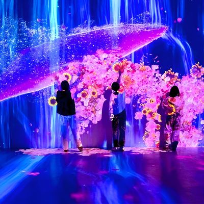Good price Hotel Decoration 3d Holographic Interactive Wall Projection Software Projector online