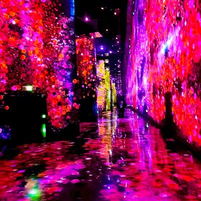 Good price Modern Luxury Immersive Interactive Wall / Floor Laser Projection For Exhibition online