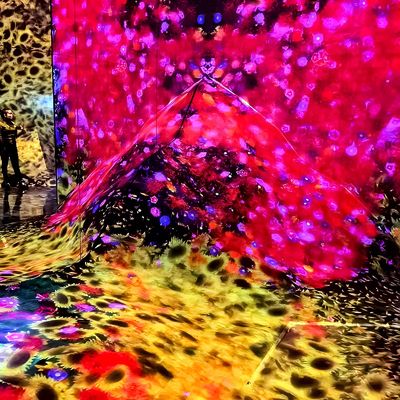 Good price 3d Indoor Immersive Projection For Ktv Bar Club Immersive Projection System online