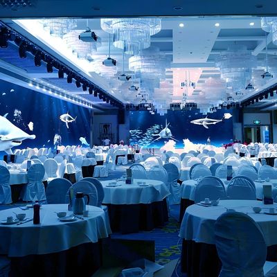 Good price Ar Interactive 3d Holographic Display Projector Interact Creative Restaurant online