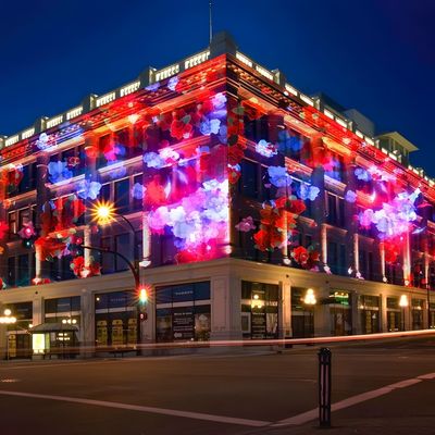 Good price Outdoor Laser Light Show Machine Animation Show Laser Commercial Lights Projector online