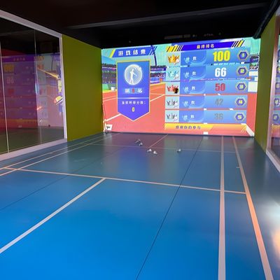 Good price Northern Lights Professional Indoor AR Sports Badminton Indoor Ball Games online