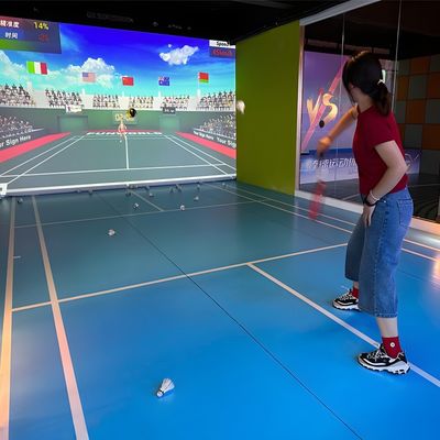Good price AR Sports Fitness Game Motion Equipment Indoor Amusement Park Product Simulated Badminton online