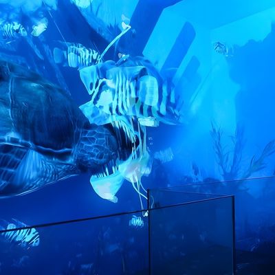 Good price VR Immersive Cinema Dynamic Simulator Cinema Led Screen For Exhibition Hall online