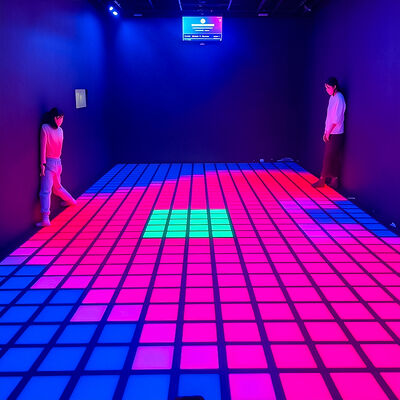 Good price Customizable Interactive LED Floor with 280+ Game Levels and RGB Lighting for Arcades and Indoor Play Centers online